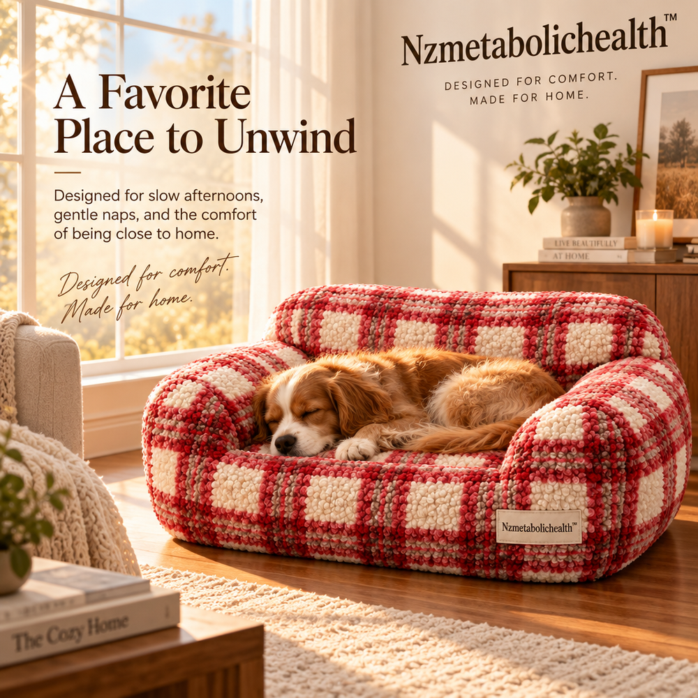 Nzmetabolichealth™ Cozy Plaid Lounge Sofa Bed